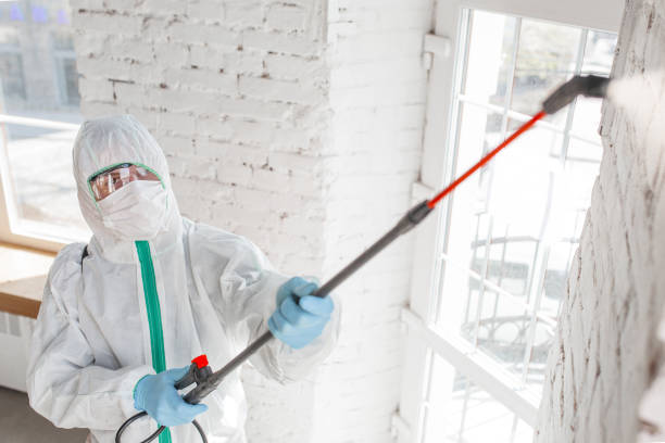 Best Mold Remediation for Healthcare Facilities  in Williams, CA