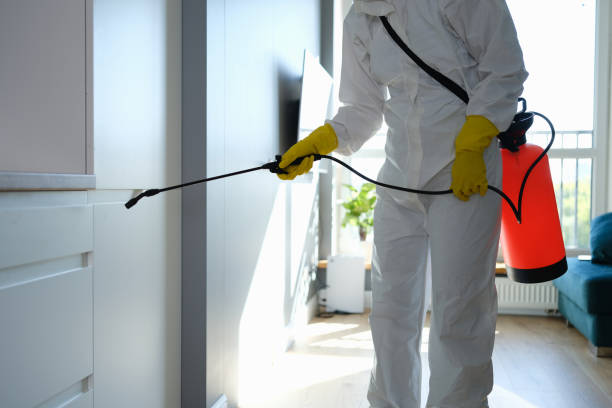 Biohazard Mold Removal in Williams, CA