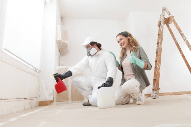 Forensic Mold Investigation in Williams, CA